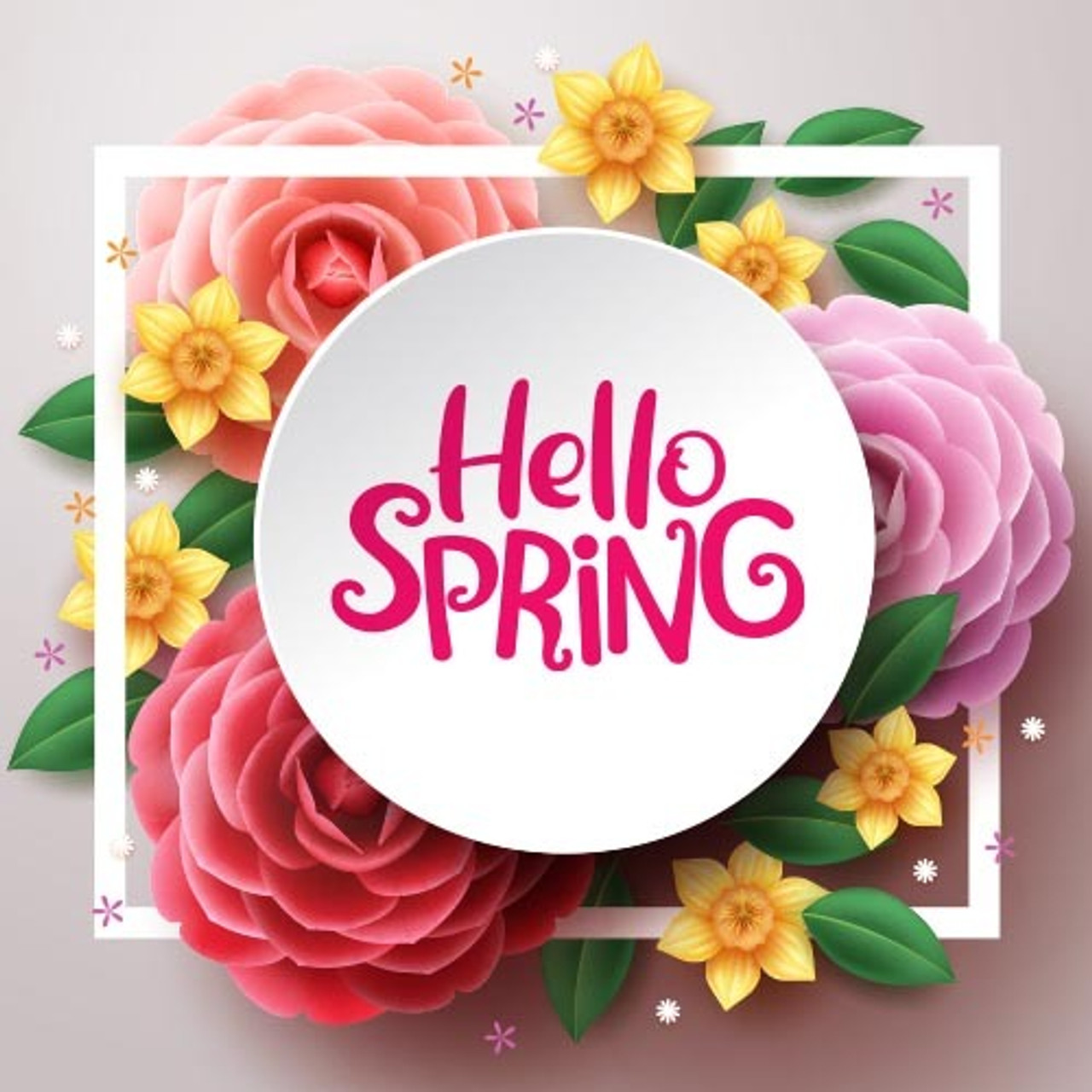 Hello spring